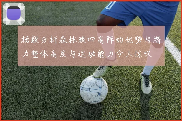 杨毅分析森林狼四高阵的优势与潜力整体高度与运动能力令人惊叹